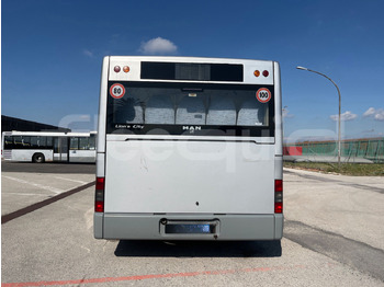 הַחכָּרָה Man Lion's Classic Man Lion's Classic: תמונה 5 הַחכָּרָה Man Lion's Classic Man Lion's Classic: תמונה 5