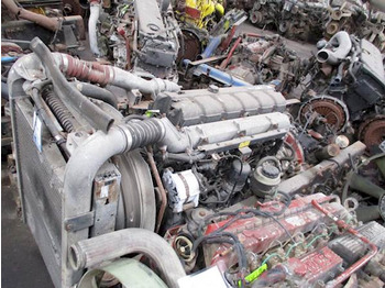 : תמונת כותרת עליונה