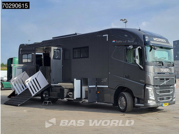משאית סוסים Volvo FH 420 FH 4X2 NL-Truck Xenon Navi ACC Euro 6: תמונה 3