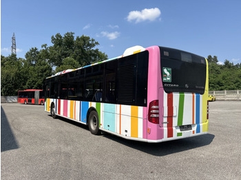 אוטובוס עירוני N.1 MERCEDES BENZ CITARO O530 – Anno 2012: תמונה 5