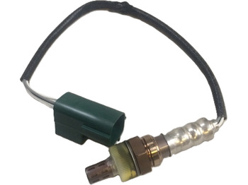 : תמונת כותרת עליונה