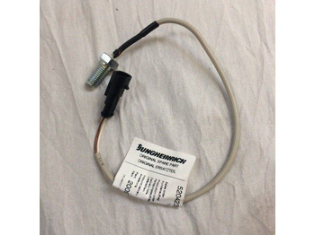 : תמונת כותרת עליונה