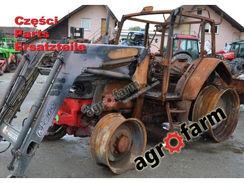 : תמונת כותרת עליונה