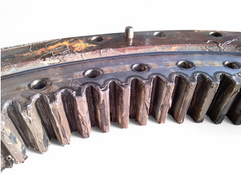 : תמונת כותרת עליונה