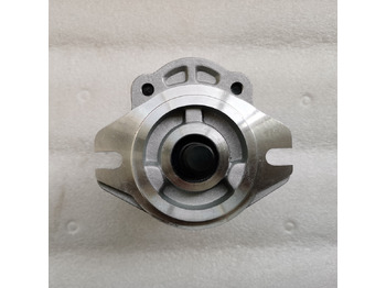 הַחכָּרָה QINGDAO PROMISING Hydraulic Pump CBWA-F318-AT4Φ9 QINGDAO PROMISING Hydraulic Pump CBWA-F318-AT4Φ9: תמונה 3