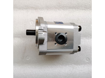 הַחכָּרָה QINGDAO PROMISING Hydraulic Pump CBWA-F318-AT4Φ9 QINGDAO PROMISING Hydraulic Pump CBWA-F318-AT4Φ9: תמונה 5