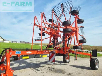 : תמונת כותרת עליונה