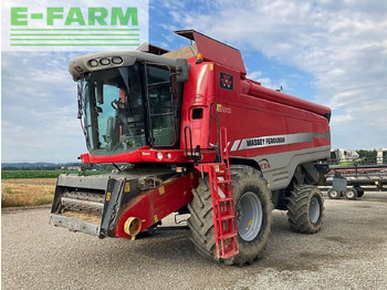 מקצרת קומבינה MASSEY FERGUSON