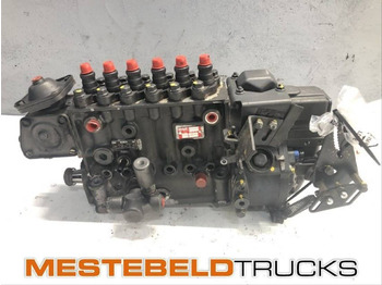 : תמונת כותרת עליונה