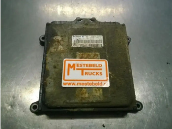 : תמונת כותרת עליונה