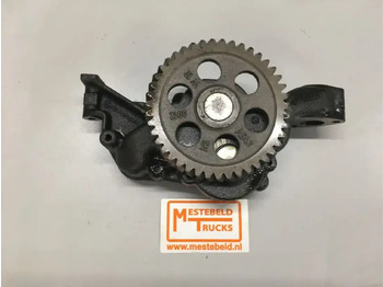 : תמונת כותרת עליונה