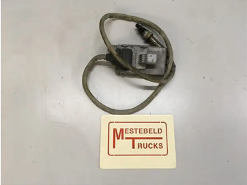 : תמונת כותרת עליונה