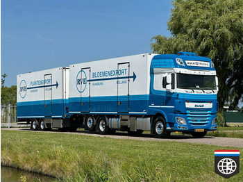 משאית קירור DAF XF 460