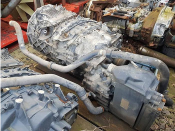 : תמונת כותרת עליונה