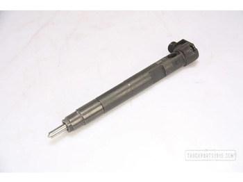 חָדָשׁ מסנן דלק עבור משאית DELPHI A6510703087 OM651 D22Verstuiver: תמונה 4