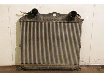 רדיאטור עבור משאית MAN TGA Cooling System Interkoeler TGA: תמונה 2