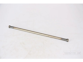 : תמונת כותרת עליונה