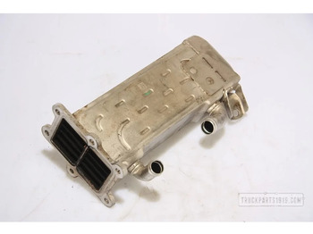 : תמונת כותרת עליונה