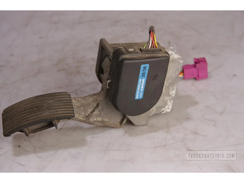 : תמונת כותרת עליונה