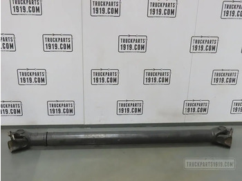 : תמונת כותרת עליונה