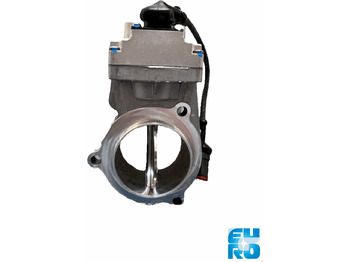 : תמונת כותרת עליונה