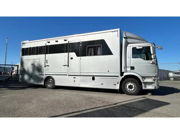 הַחכָּרָה MAN TGM 15.250 5 horses and living brand Krismar MAN TGM 15.250 5 horses and living brand Krismar: תמונה 1