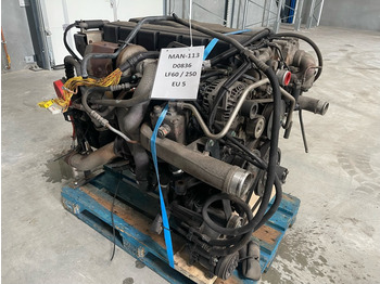 מנוע עבור משאית MAN D0836 LF60 / 250 HP: תמונה 3