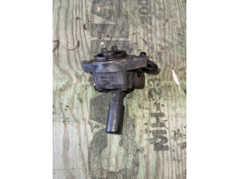 : תמונת כותרת עליונה