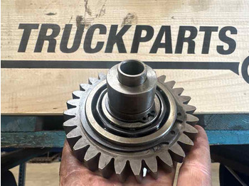 : תמונת כותרת עליונה