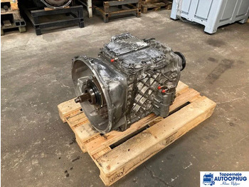 : תמונת כותרת עליונה