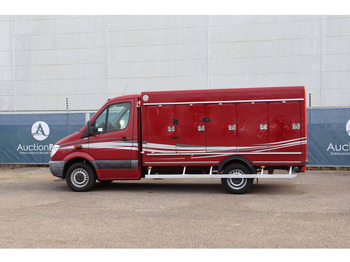 כלי רכב מסחרי עם תיבה Mercedes-Benz 313CDI: תמונה 3 כלי רכב מסחרי עם תיבה Mercedes-Benz 313CDI: תמונה 3