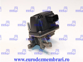 : תמונת כותרת עליונה