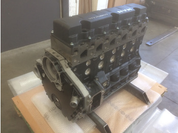 מנוע MOTORE ALLEGGERITO MAN D0836LOH50 - 280CV - E4: תמונה 3