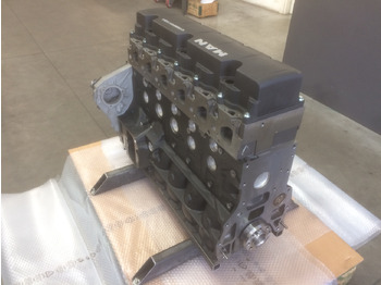 מנוע MOTORE ALLEGGERITO MAN D0836LOH50 - 280CV - E4: תמונה 5