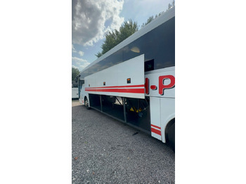 אוטובוס בין עירוני Temsa HD 13 HCD (57Sitze*Euro6*TOP) Tourismo M: תמונה 4