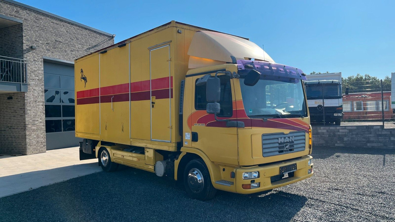 MAN TGL 10.180 Euro 4 Pferdetransporter Horse MAN TGL 10.180 Euro 4 Pferdetransporter Horse - משאית סוסים: תמונה 2 MAN TGL 10.180 Euro 4 Pferdetransporter Horse MAN TGL 10.180 Euro 4 Pferdetransporter Horse - משאית סוסים: תמונה 2