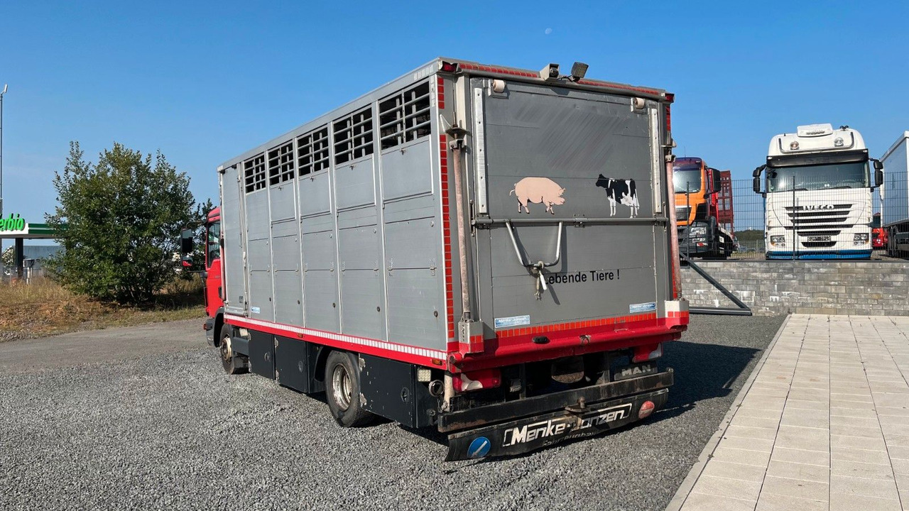 MAN TGL 10.220 Viehtransporter Rampe Trennwände - משאית סוסים: תמונה 5 MAN TGL 10.220 Viehtransporter Rampe Trennwände - משאית סוסים: תמונה 5