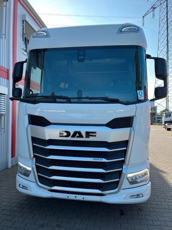 DAF FAN XF 480 ohne Aufbau - משאית עם שלדת תא: תמונה 3 DAF FAN XF 480 ohne Aufbau - משאית עם שלדת תא: תמונה 3