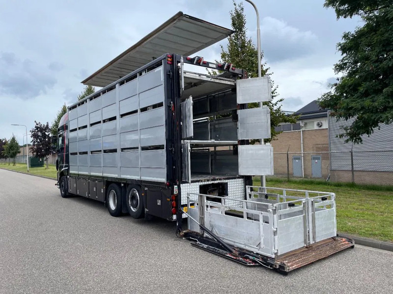 DAF XF 460 2017 berdex 3 lagen varkens - משאית להובלת בעלי חיים: תמונה 4 DAF XF 460 2017 berdex 3 lagen varkens - משאית להובלת בעלי חיים: תמונה 4