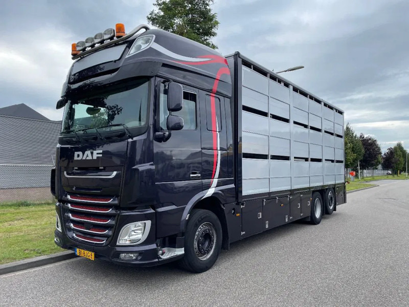 DAF XF 460 2017 berdex 3 lagen varkens - משאית להובלת בעלי חיים: תמונה 1 DAF XF 460 2017 berdex 3 lagen varkens - משאית להובלת בעלי חיים: תמונה 1