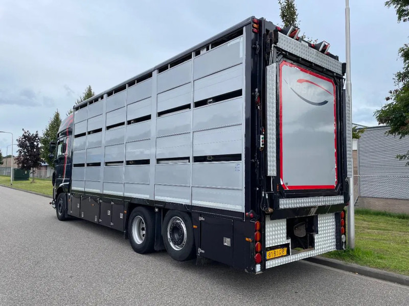 DAF XF 460 2017 berdex 3 lagen varkens - משאית להובלת בעלי חיים: תמונה 2 DAF XF 460 2017 berdex 3 lagen varkens - משאית להובלת בעלי חיים: תמונה 2