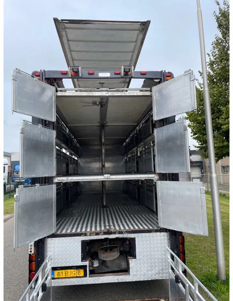 DAF XF 460 2017 berdex 3 lagen varkens - משאית להובלת בעלי חיים: תמונה 3 DAF XF 460 2017 berdex 3 lagen varkens - משאית להובלת בעלי חיים: תמונה 3