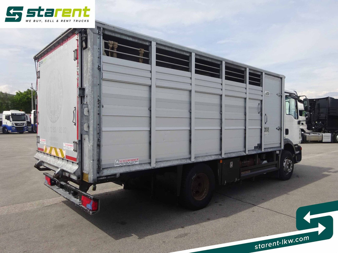 MAN TGM 15.290 Viehtransporter, Scheuwimmer Aufbau - משאית סוסים: תמונה 5 MAN TGM 15.290 Viehtransporter, Scheuwimmer Aufbau - משאית סוסים: תמונה 5