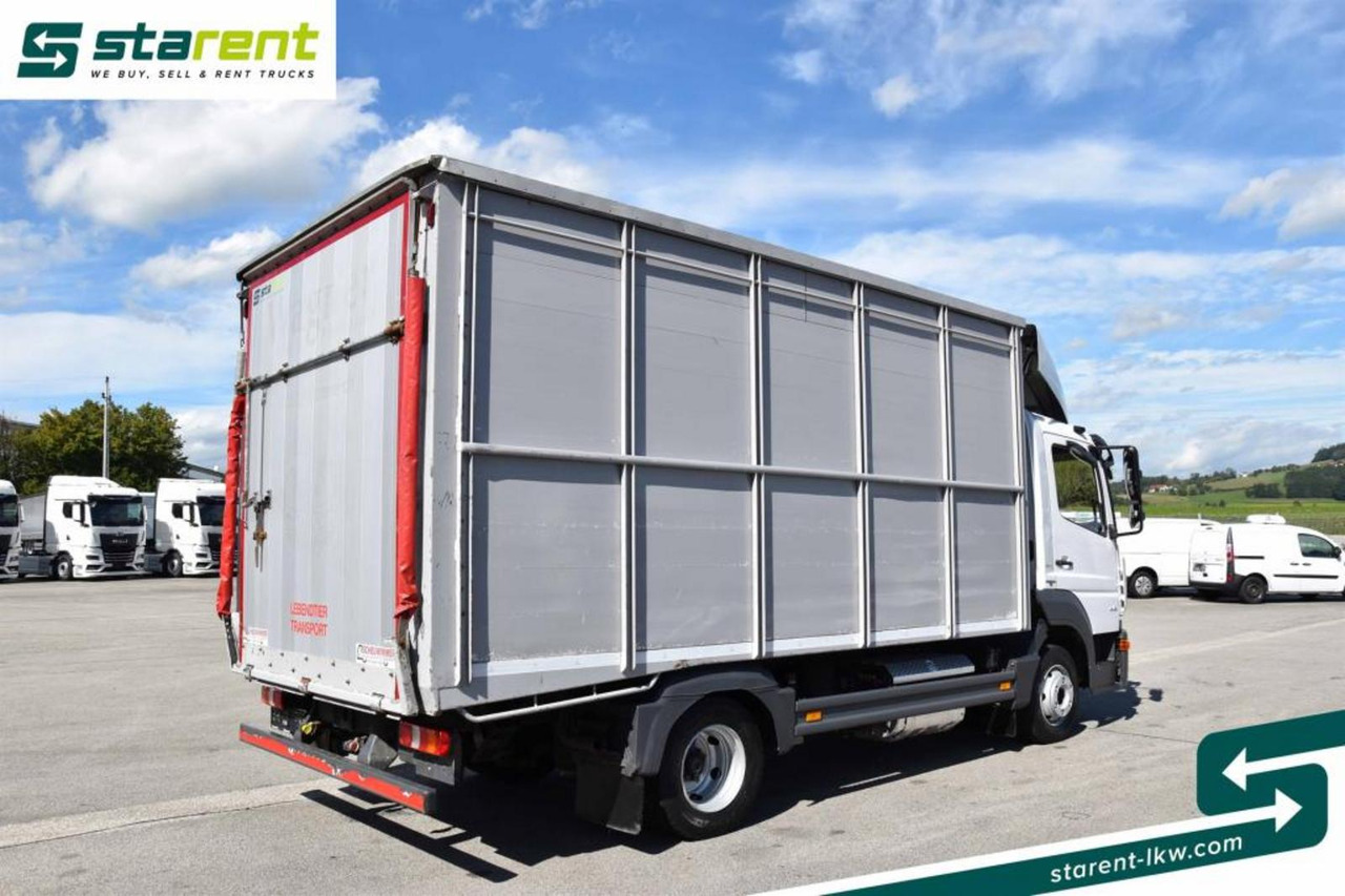 Mercedes Benz 818 Viehtransporter Scheuwimmer Aufbau - משאית להובלת בעלי חיים: תמונה 5 Mercedes Benz 818 Viehtransporter Scheuwimmer Aufbau - משאית להובלת בעלי חיים: תמונה 5