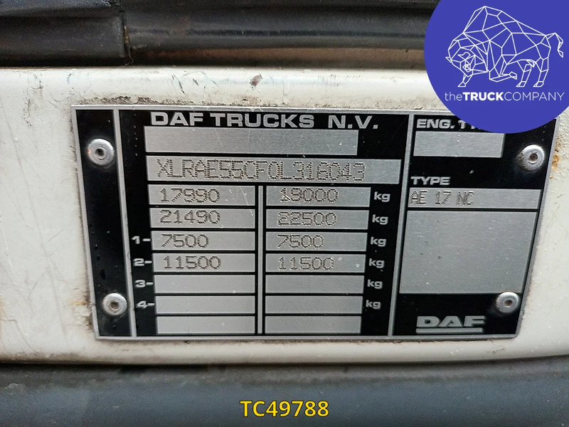 DAF LF 55 250 - משאית תיבה: תמונה 3 DAF LF 55 250 - משאית תיבה: תמונה 3
