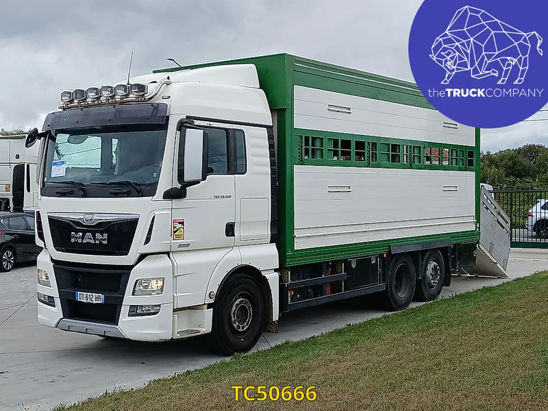 MAN TGX 460 - משאית להובלת בעלי חיים: תמונה 1 MAN TGX 460 - משאית להובלת בעלי חיים: תמונה 1