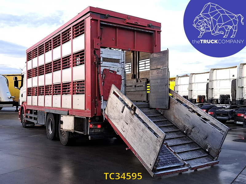 Scania R 500 - משאית להובלת בעלי חיים: תמונה 3 Scania R 500 - משאית להובלת בעלי חיים: תמונה 3
