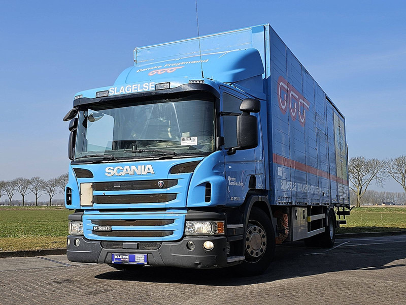 Scania P250 4X2MLB AIRCO WB 590 - משאית תיבה: תמונה 1 Scania P250 4X2MLB AIRCO WB 590 - משאית תיבה: תמונה 1