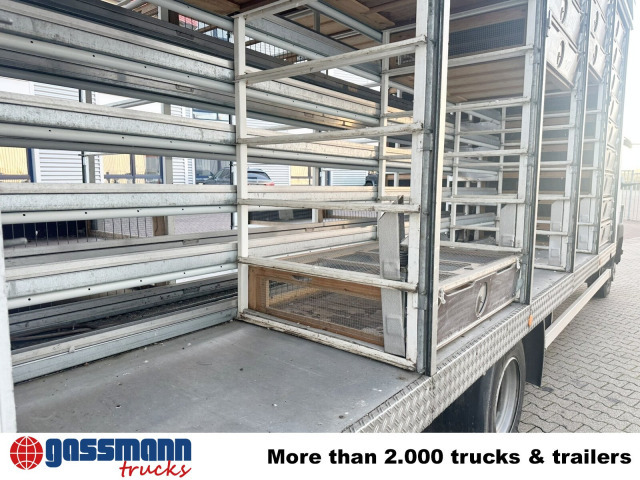 Mercedes-Benz LK 817 4x2, Taubentransporter - משאית תיבה: תמונה 2 Mercedes-Benz LK 817 4x2, Taubentransporter - משאית תיבה: תמונה 2