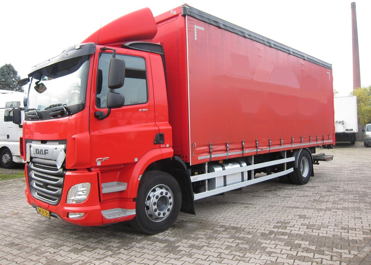 DAF CF 230 19T Schiebeplane LDW Portalturen - משאית וילונות צד: תמונה 2 DAF CF 230 19T Schiebeplane LDW Portalturen - משאית וילונות צד: תמונה 2